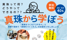 真珠から学ぼう　※主に中学生対象